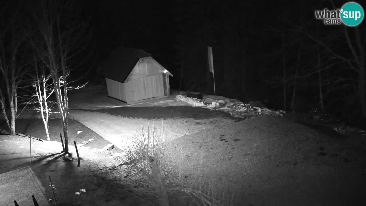 Web kamera Lukanja – Water Village | Pohorje Houses