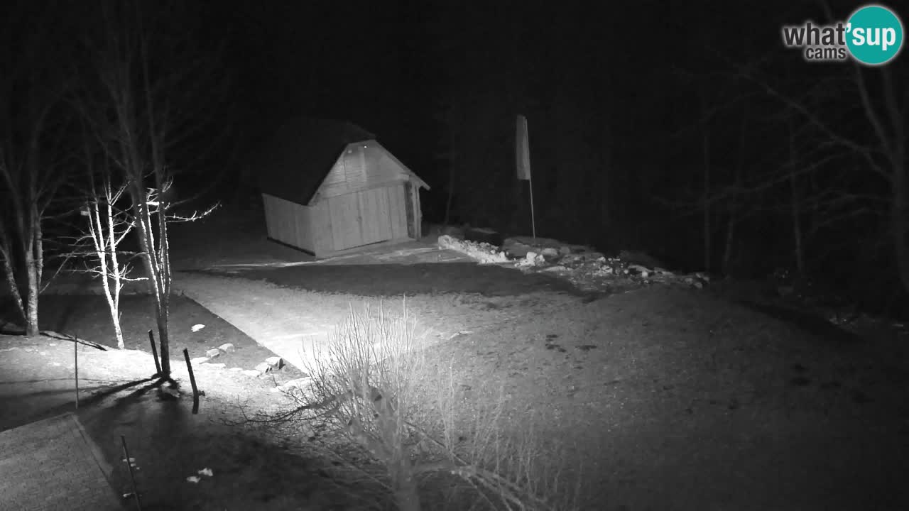 Spletna kamera Lukanja – Water Village | Pohorje Houses