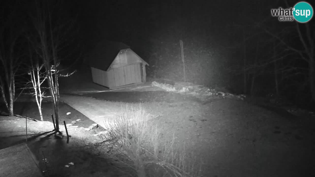 Webcam Lukanja – Pohorje houses a Water village