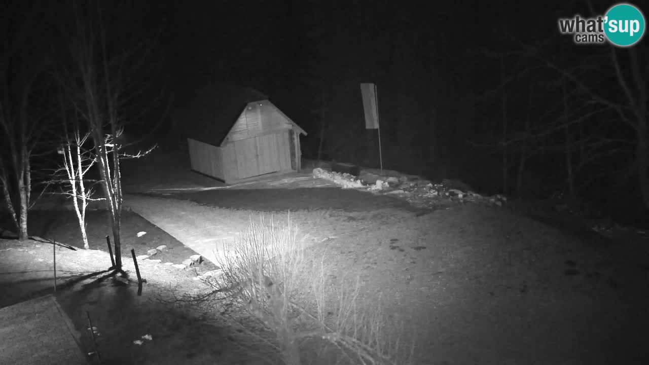 Webcam Lukanja – Water Village | Pohorje Houses