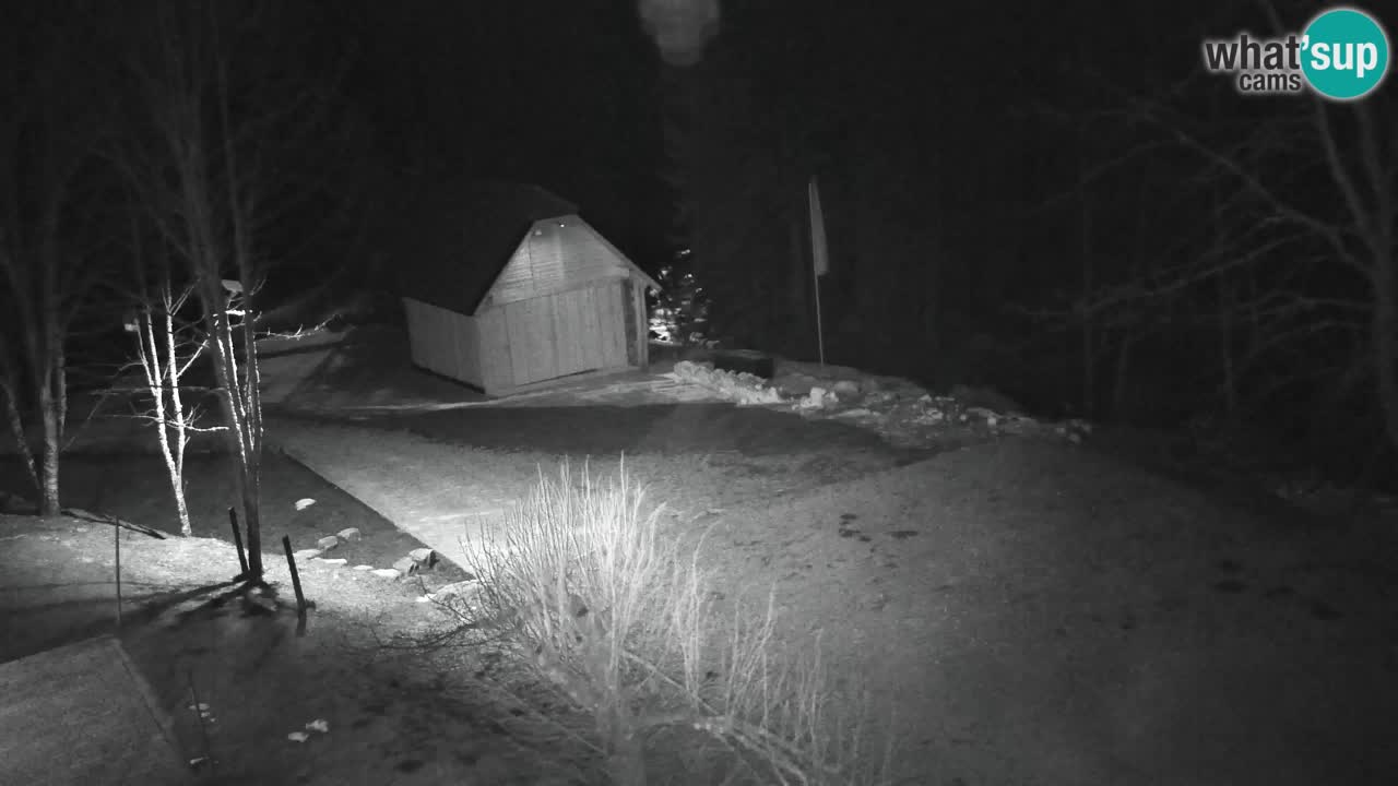 Webcam Lukanja – Pohorje houses a Water village