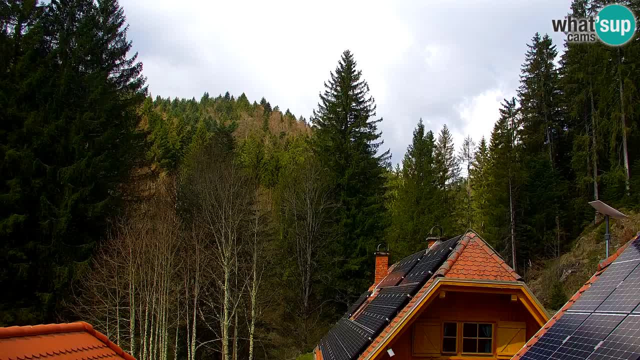 Webcam Lukanja – Water Village | Pohorje Houses