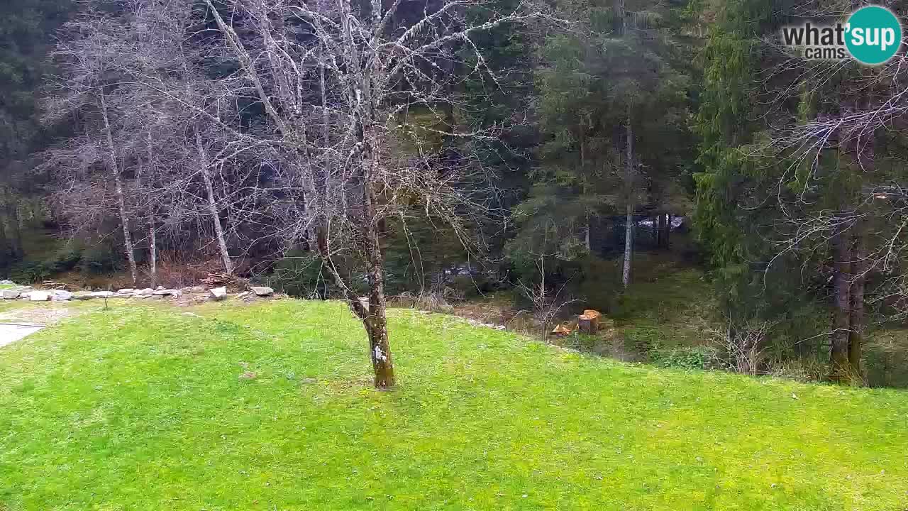 Webcam Lukanja – Water Village | Pohorje Houses