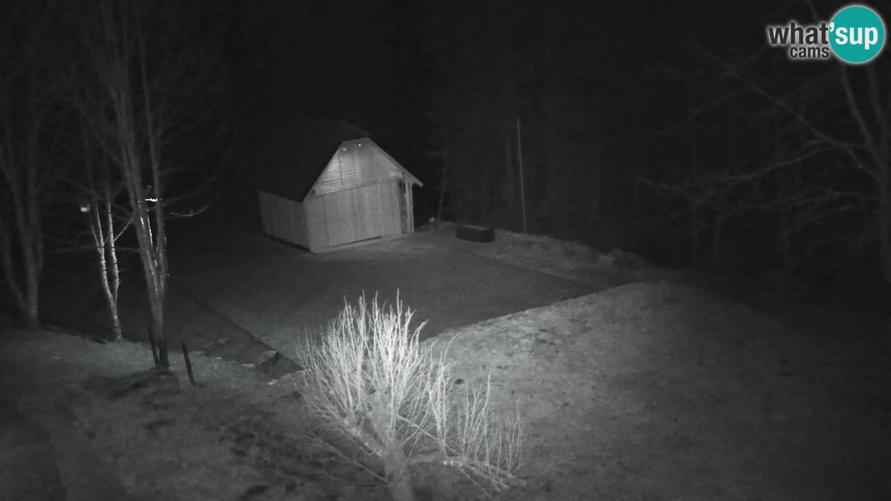 Webcam Lukanja – Water Village | Pohorje Houses