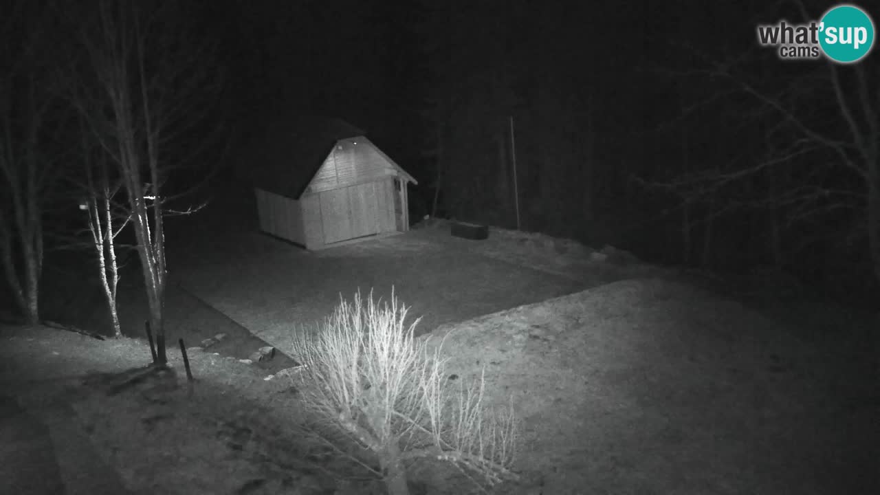 Webcam Lukanja – Pohorje houses a Water village