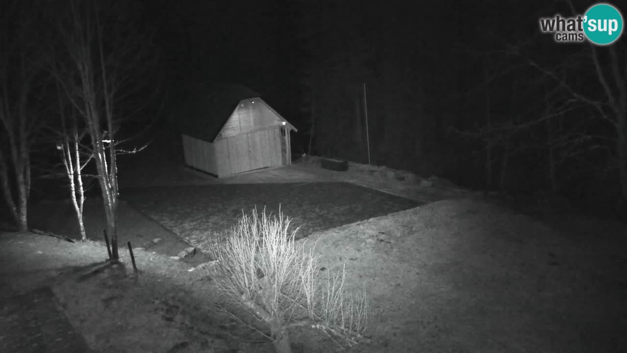 Webcam Lukanja – Water Village | Pohorje Houses