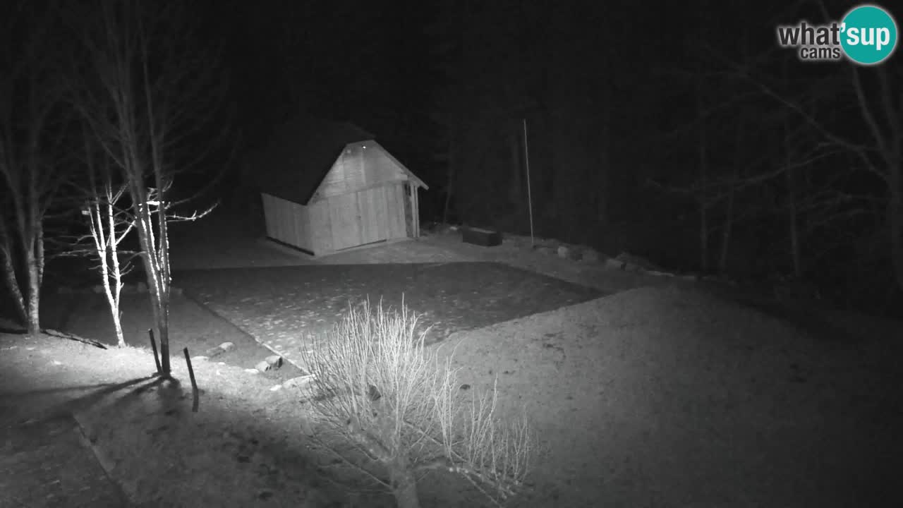 Webcam Lukanja – Pohorje houses a Water village