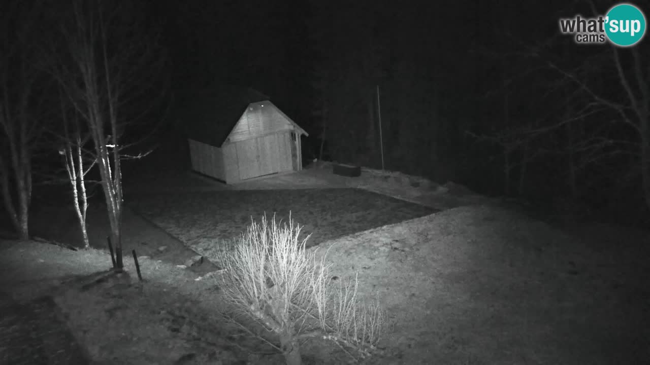 Webcam Lukanja – Water Village | Pohorje Houses