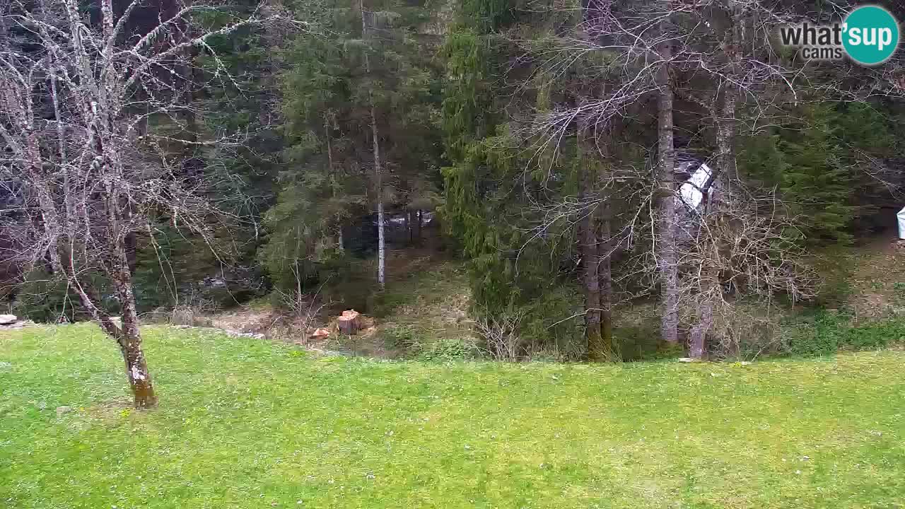 Web kamera Lukanja – Water Village | Pohorje Houses