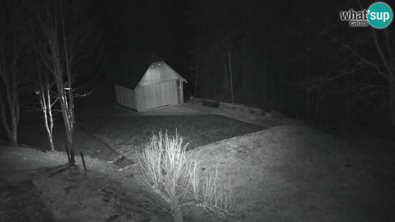 Webcam Lukanja – Pohorje houses a Water village