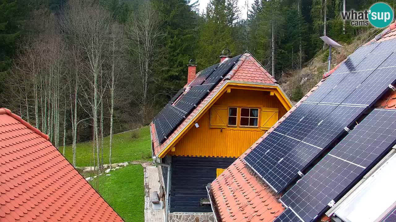 Web kamera Lukanja – Water Village | Pohorje Houses