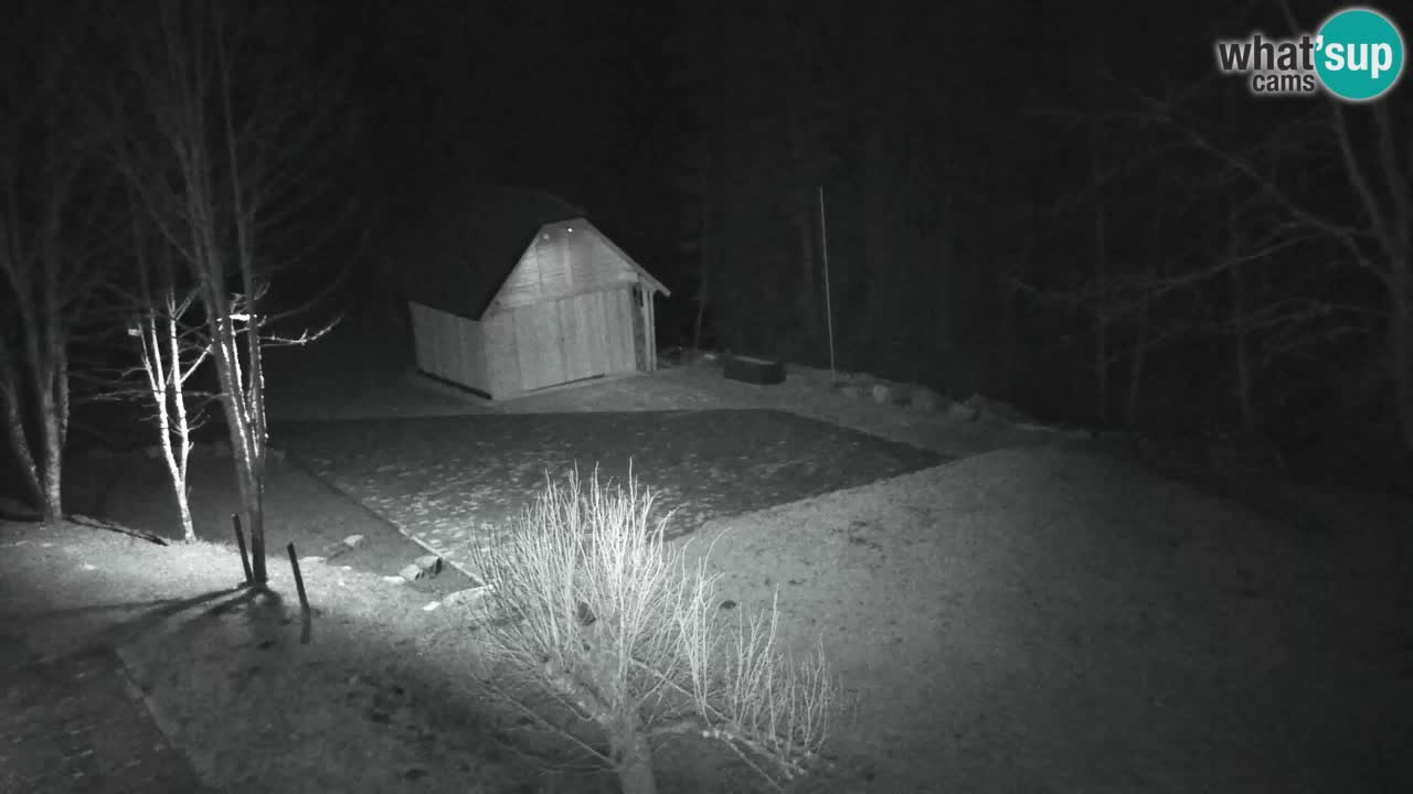 Webcam Lukanja – Pohorje houses a Water village