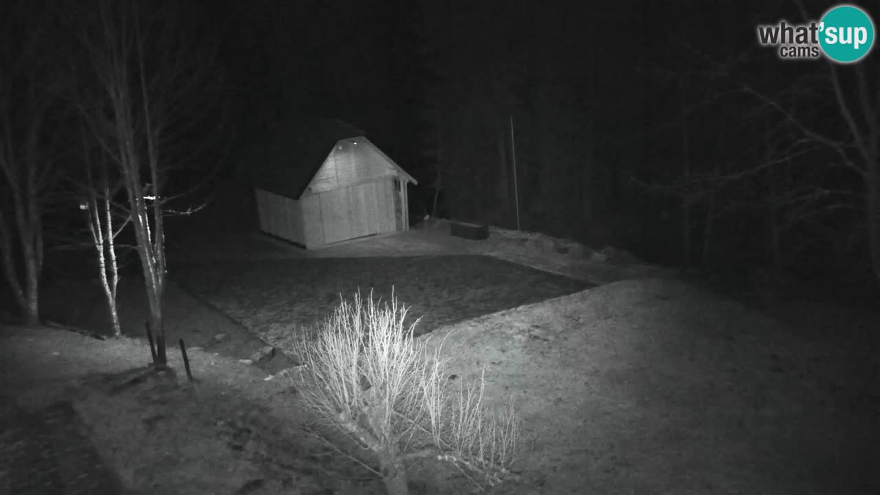 Webcam Lukanja – Pohorje houses a Water village