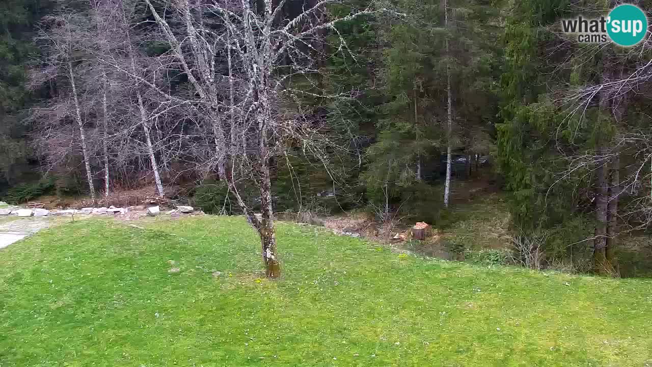 Webcam Lukanja – Pohorje houses a Water village