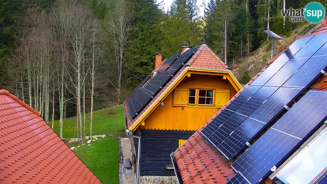 Webcam Lukanja – Pohorje houses a Water village