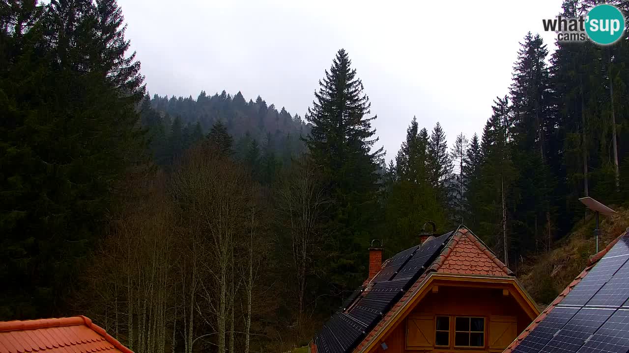 Webcam Lukanja – Water Village | Pohorje Houses