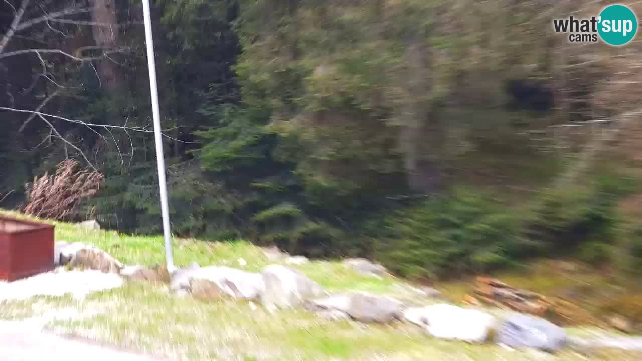 Web kamera Lukanja – Water Village | Pohorje Houses