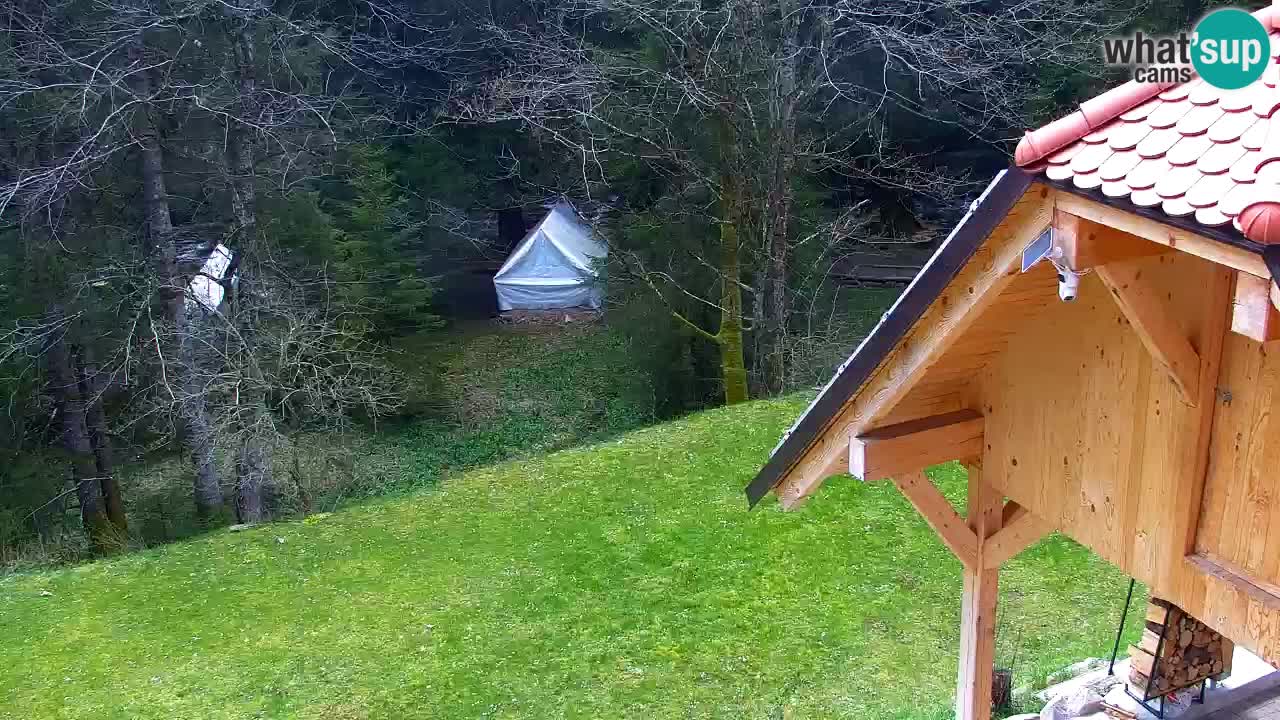 Webcam Lukanja – Pohorje houses a Water village