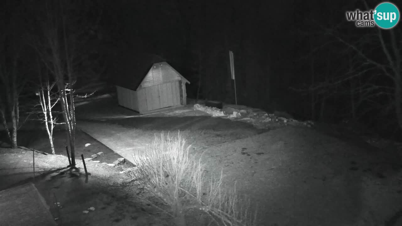 Web kamera Lukanja – Water Village | Pohorje Houses