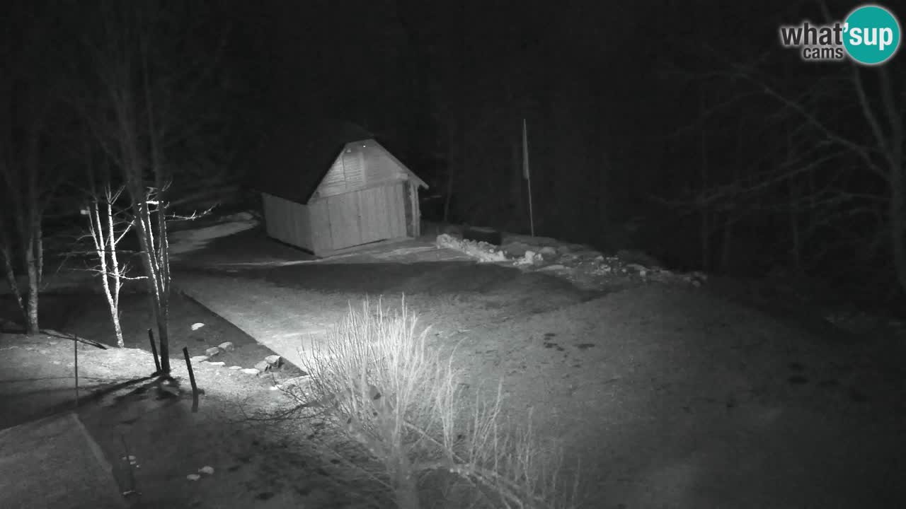 Webcam Lukanja – Pohorje houses a Water village