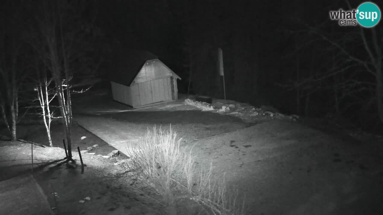 Spletna kamera Lukanja – Water Village | Pohorje Houses