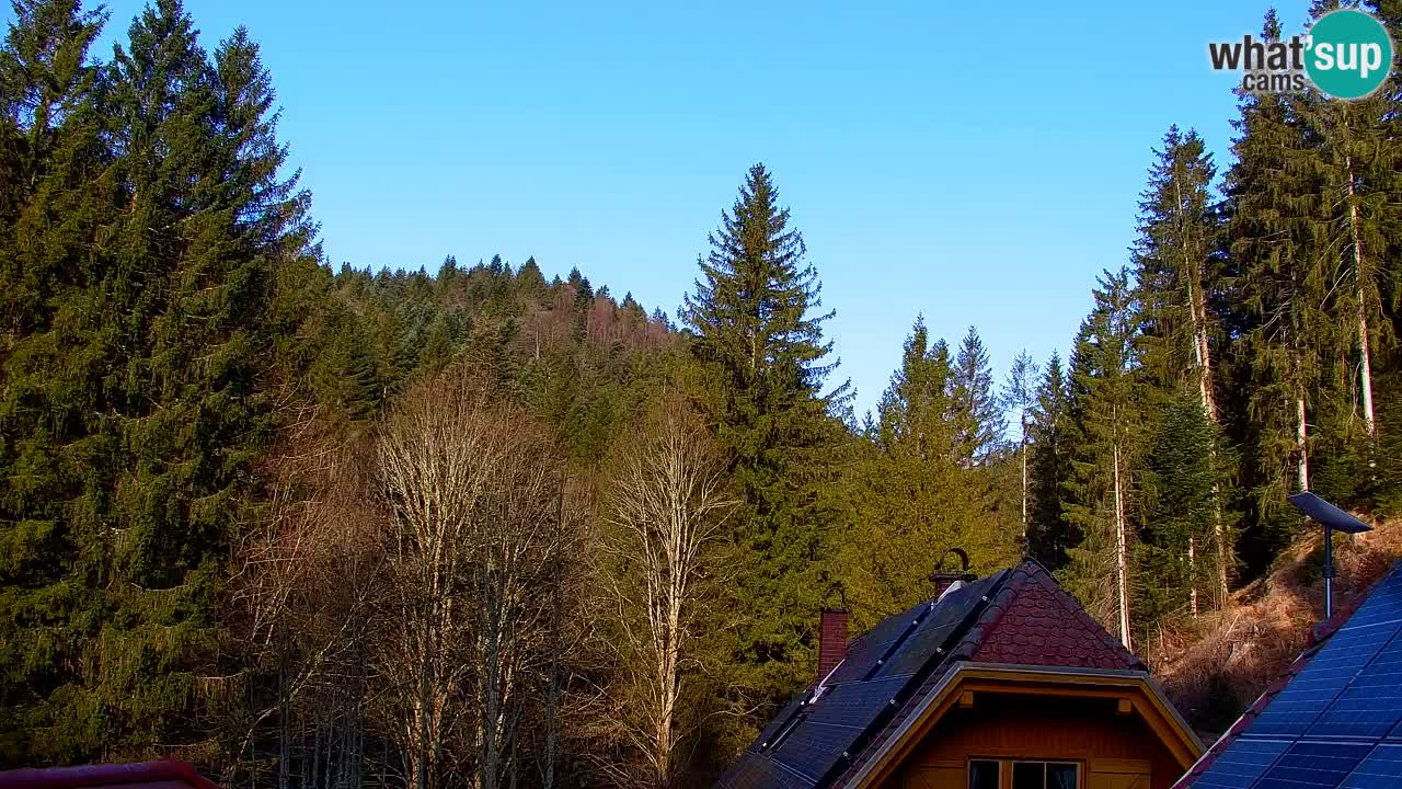 Webcam Lukanja – Pohorje houses a Water village