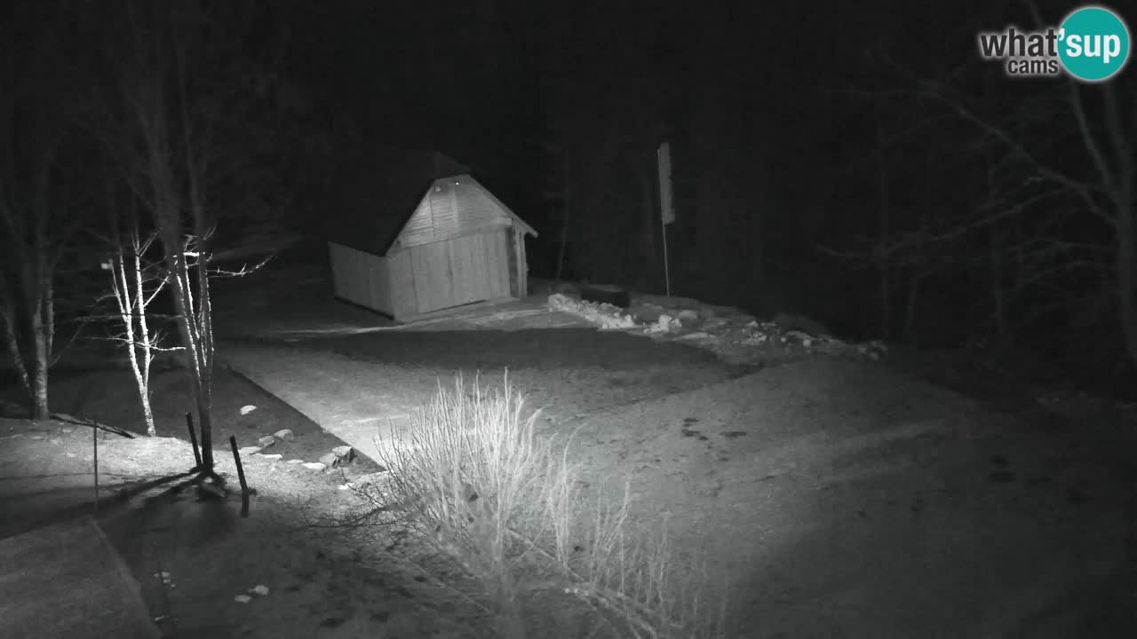 Webcam Lukanja – Pohorje houses a Water village