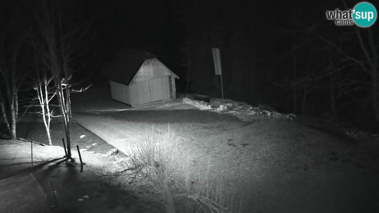 Web kamera Lukanja – Water Village | Pohorje Houses