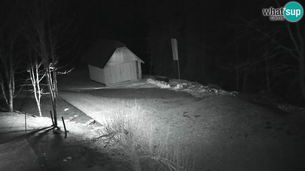 Webcam Lukanja – Pohorje houses a Water village