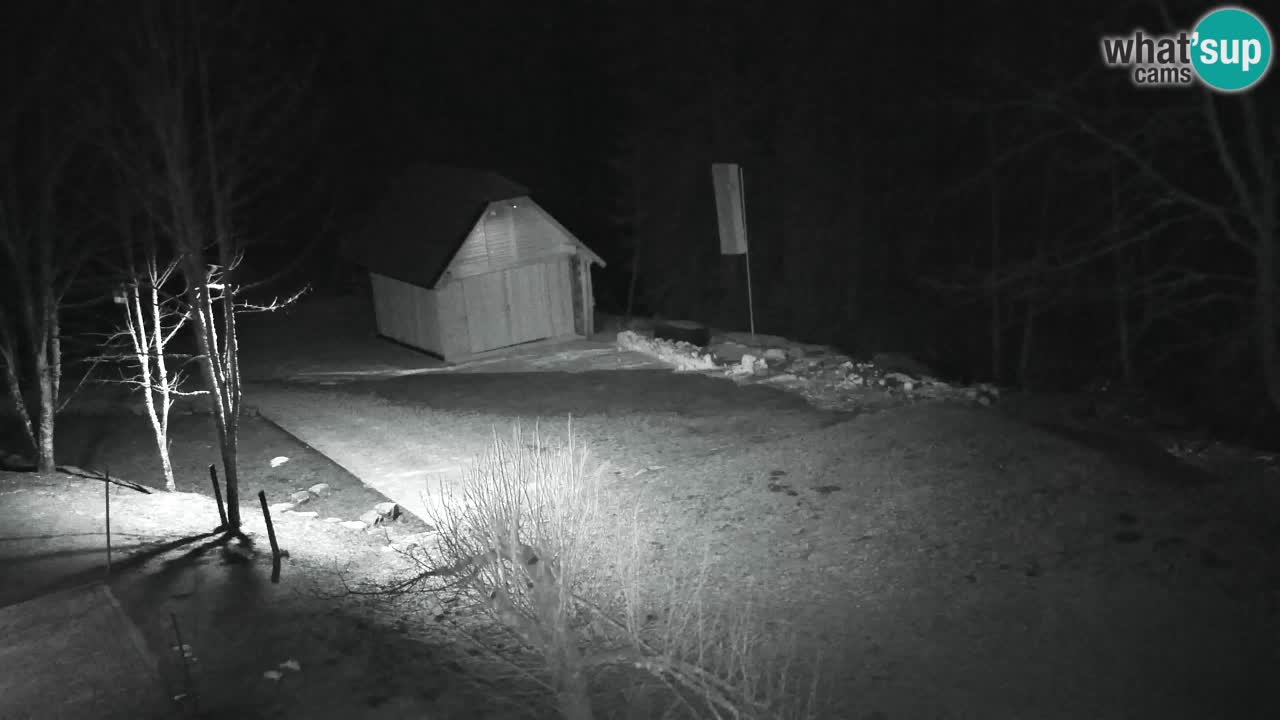 Spletna kamera Lukanja – Water Village | Pohorje Houses