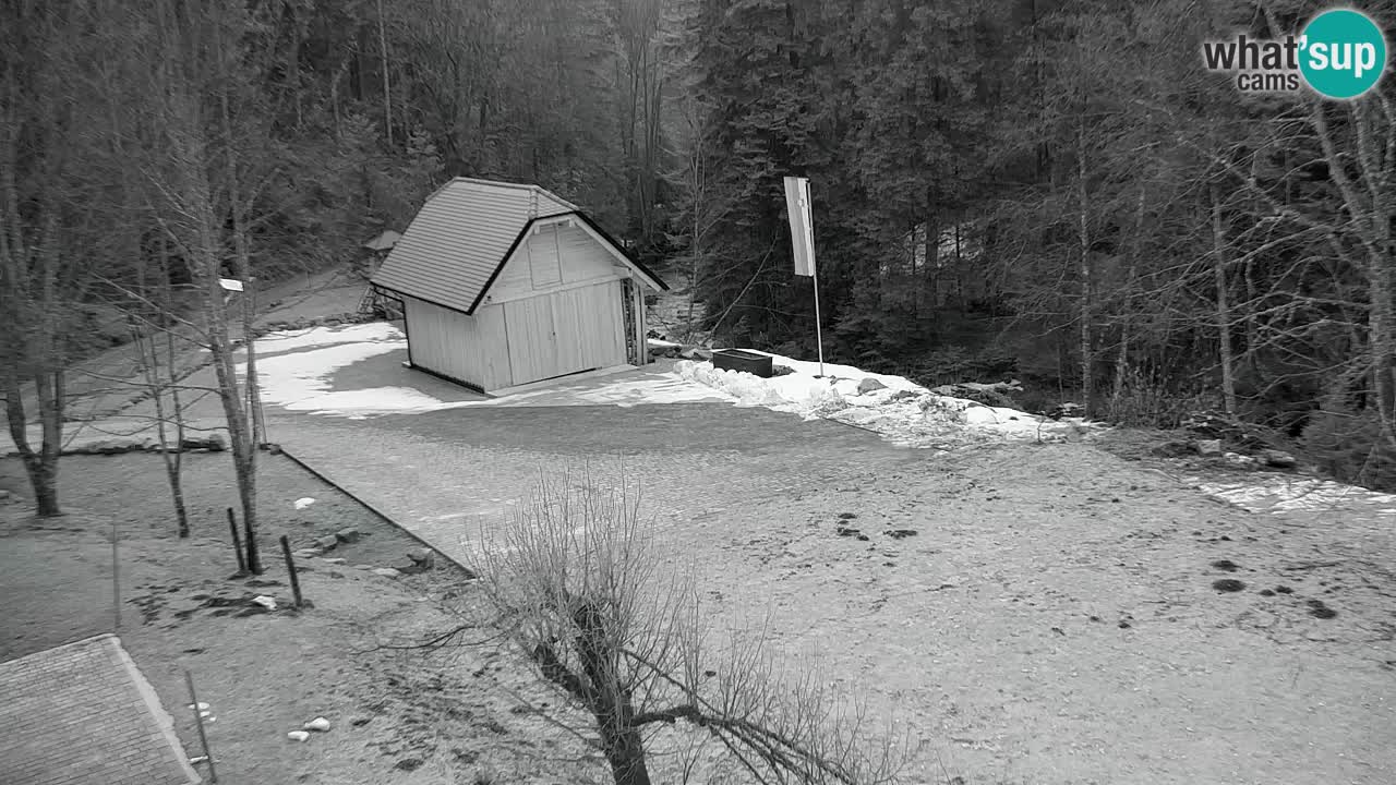 Web kamera Lukanja – Water Village | Pohorje Houses