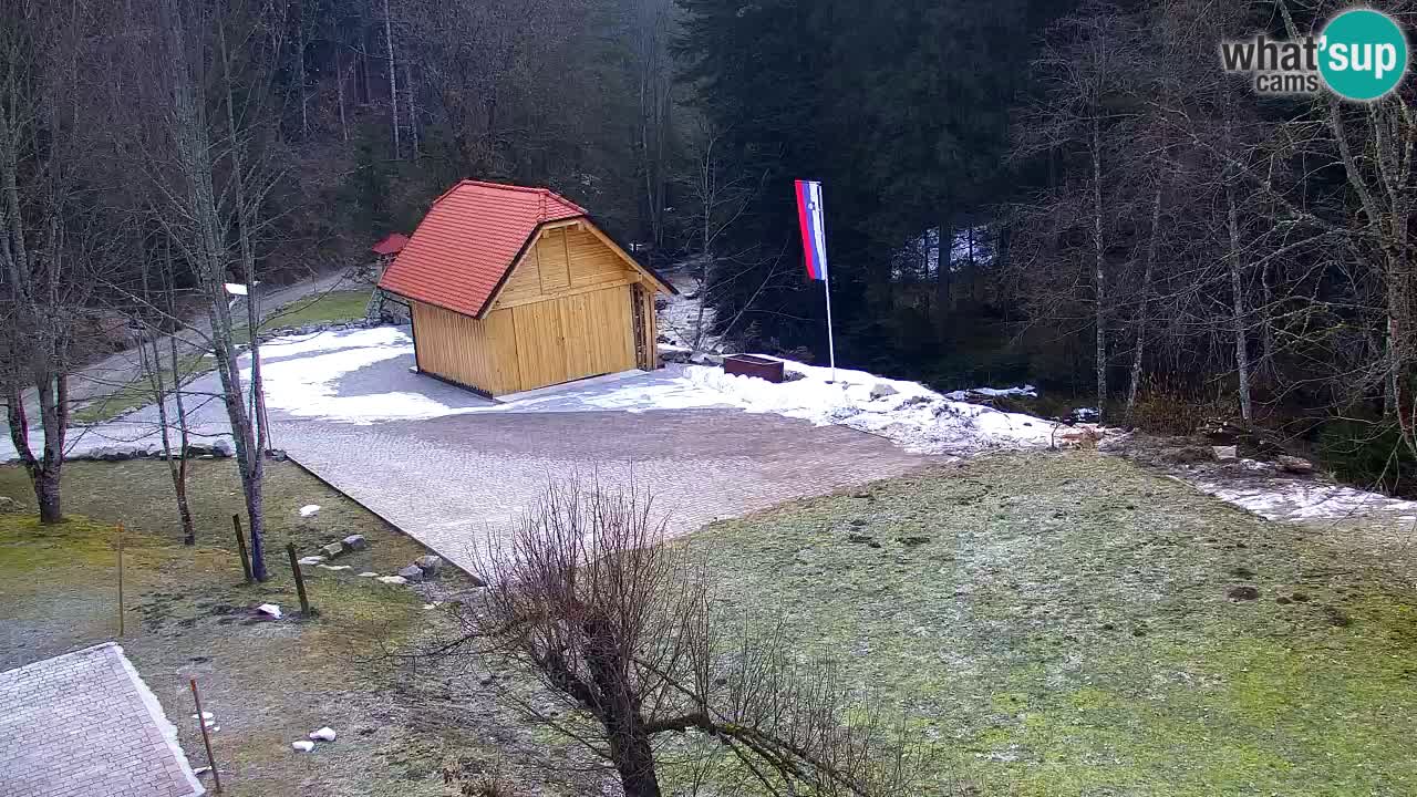 Web kamera Lukanja – Water Village | Pohorje Houses