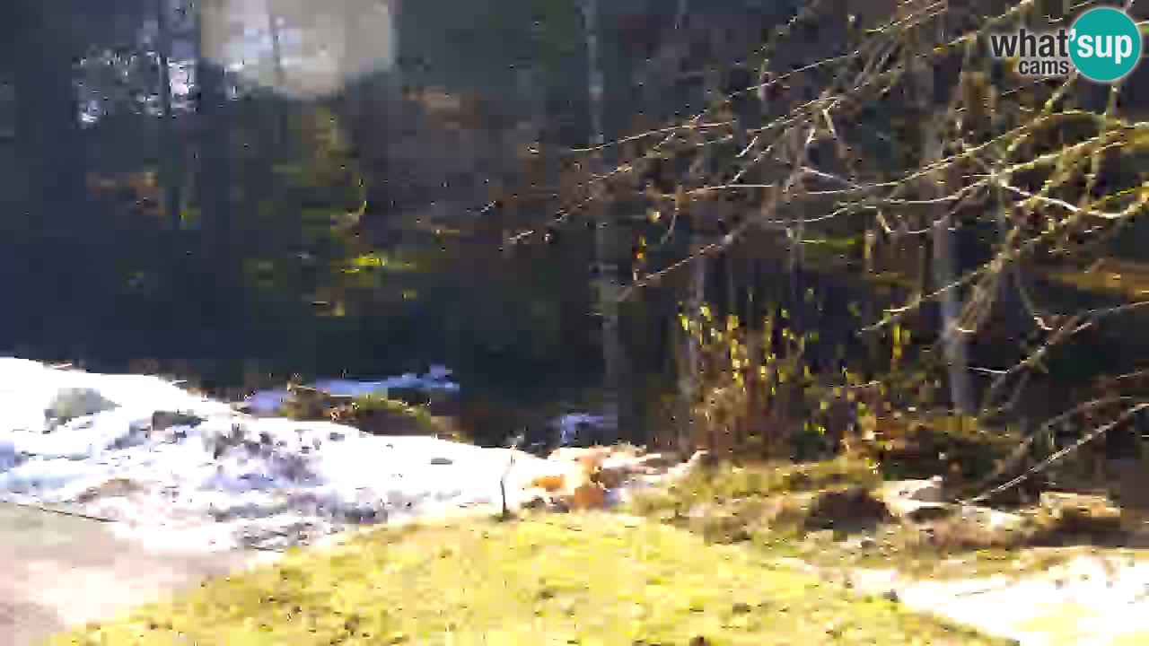 Webcam Lukanja – Water Village | Pohorje Houses