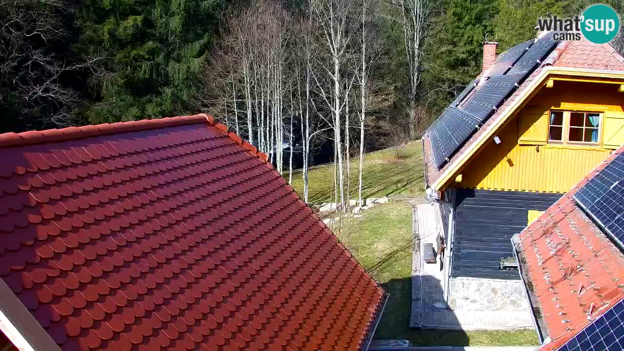 Webcam Lukanja – Water Village | Pohorje Houses