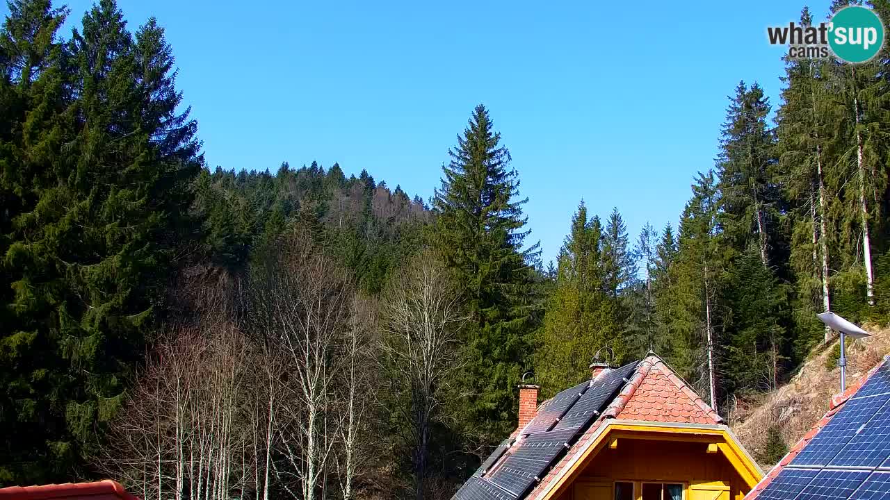 Webcam Lukanja – Water Village | Pohorje Houses