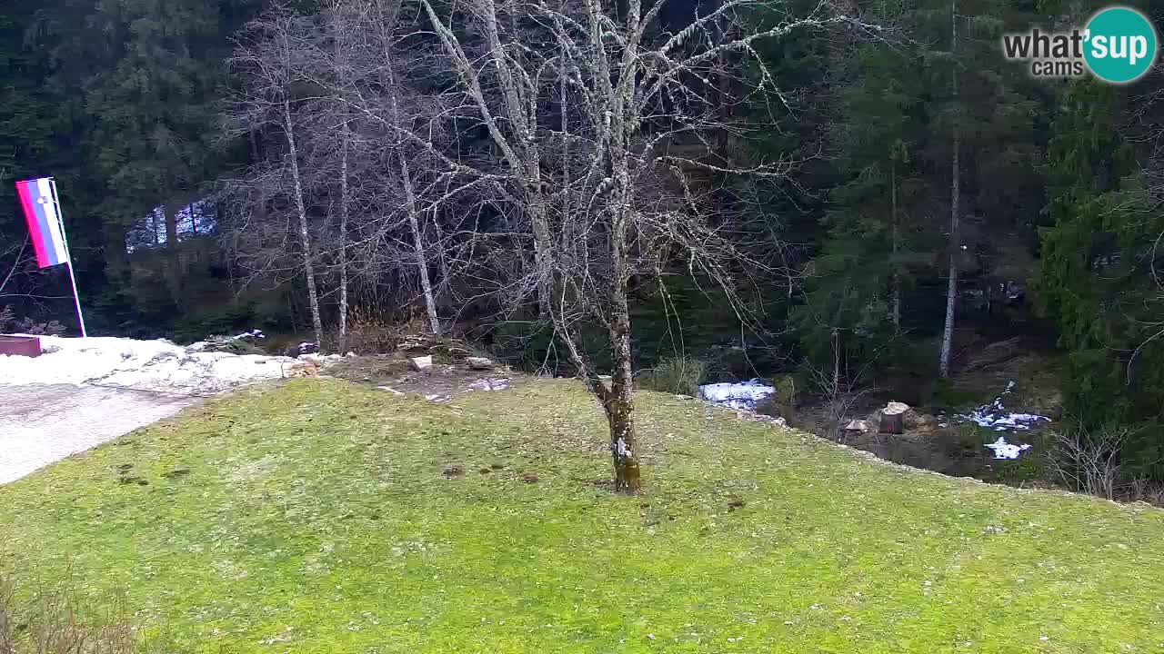 Webcam Lukanja – Water Village | Pohorje Houses