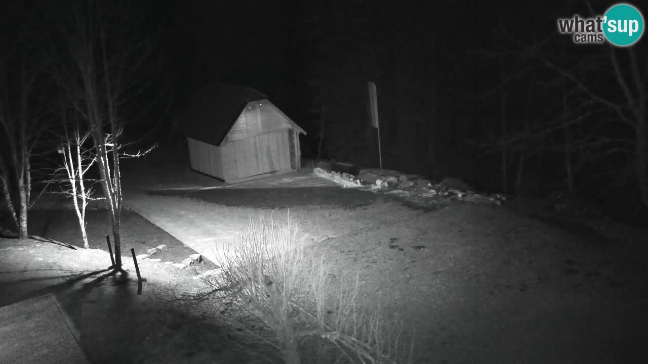 Webcam Lukanja – Pohorje houses a Water village