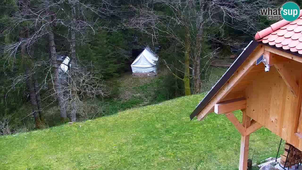Webcam Lukanja – Water Village | Pohorje Houses