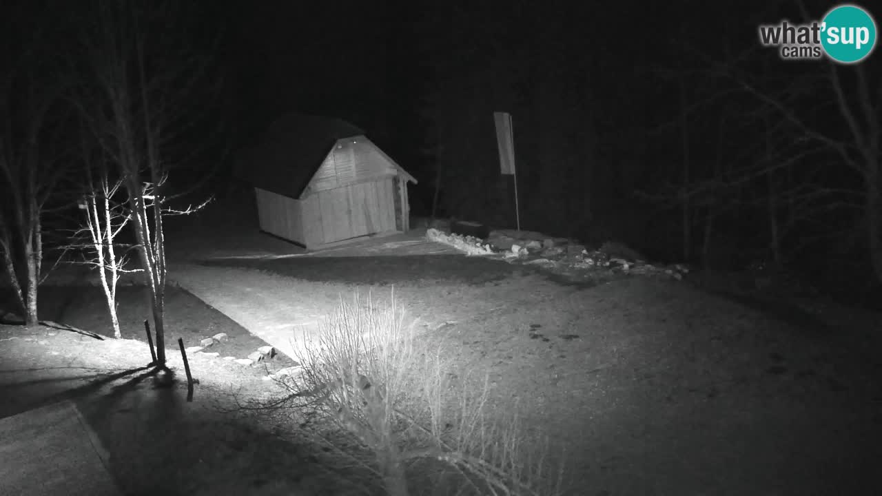 Webcam Lukanja – Pohorje houses a Water village