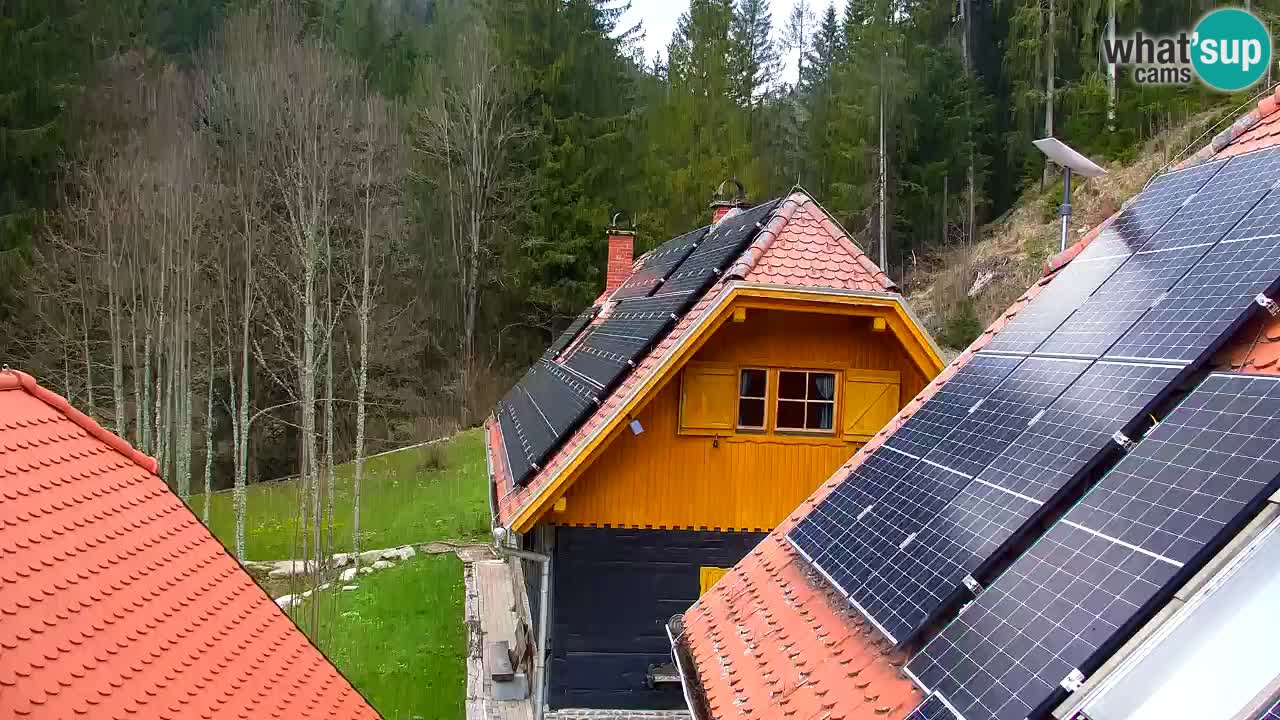 Webcam Lukanja – Water Village | Pohorje Houses