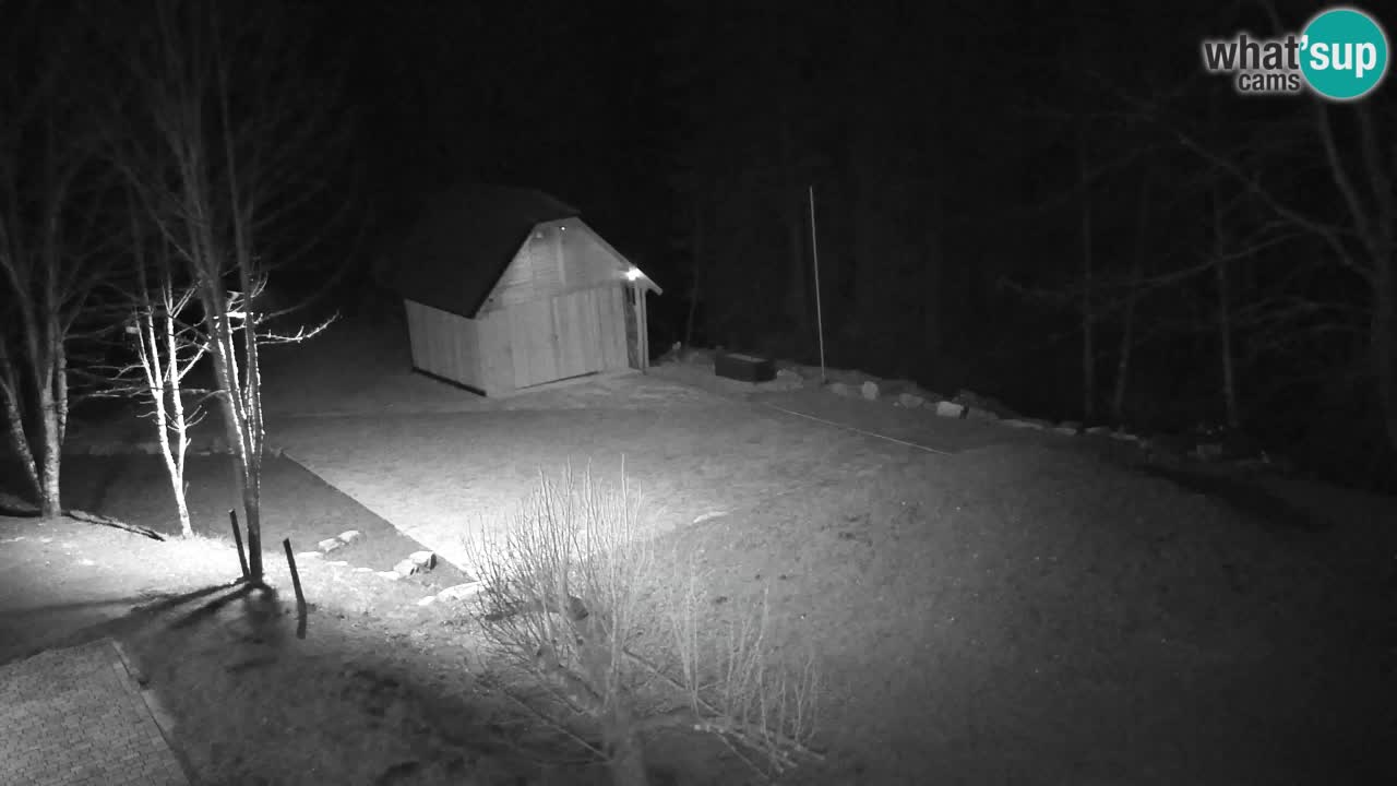 Webcam Lukanja – Water Village | Pohorje Houses