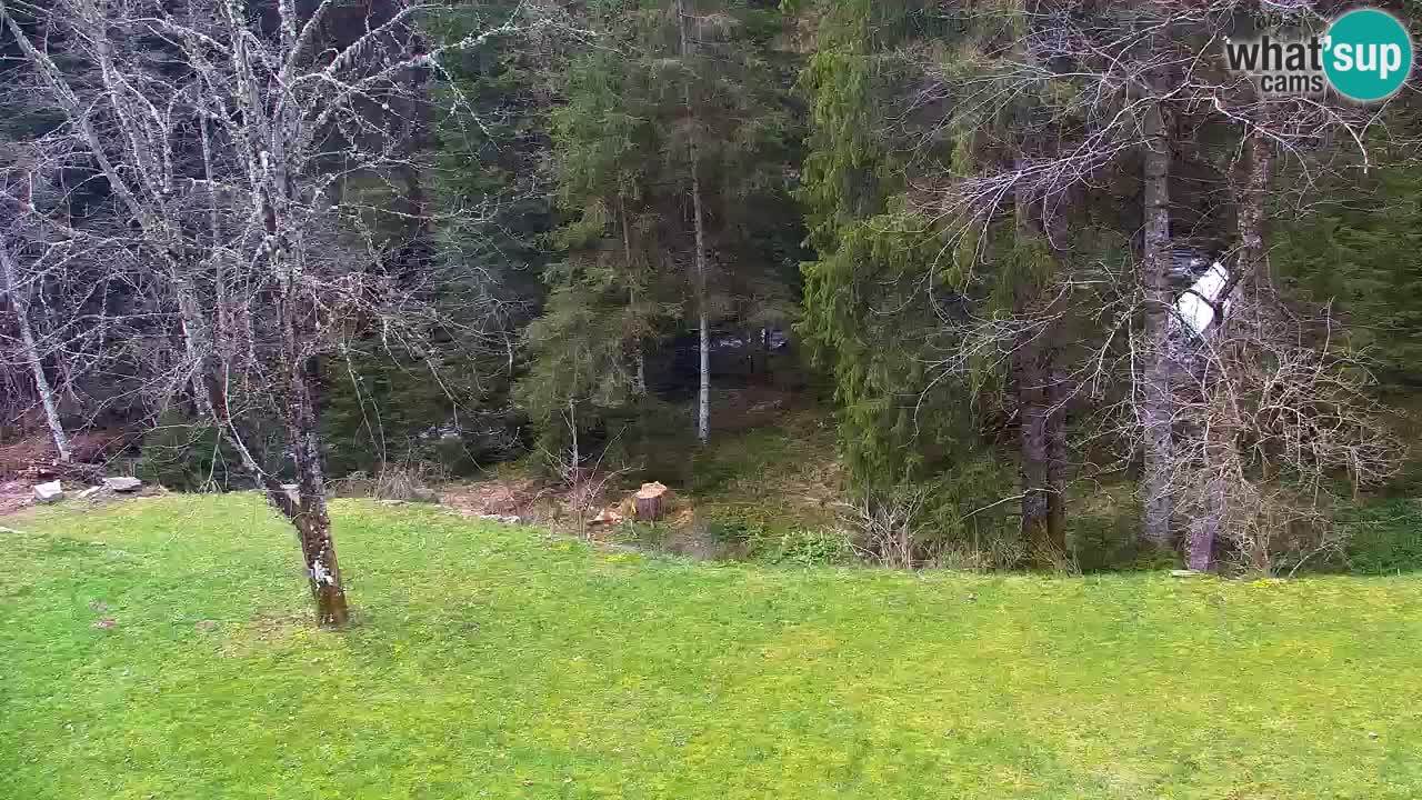 Webcam Lukanja – Water Village | Pohorje Houses