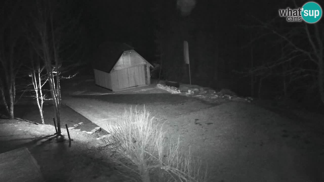 Webcam Lukanja – Water Village | Pohorje Houses