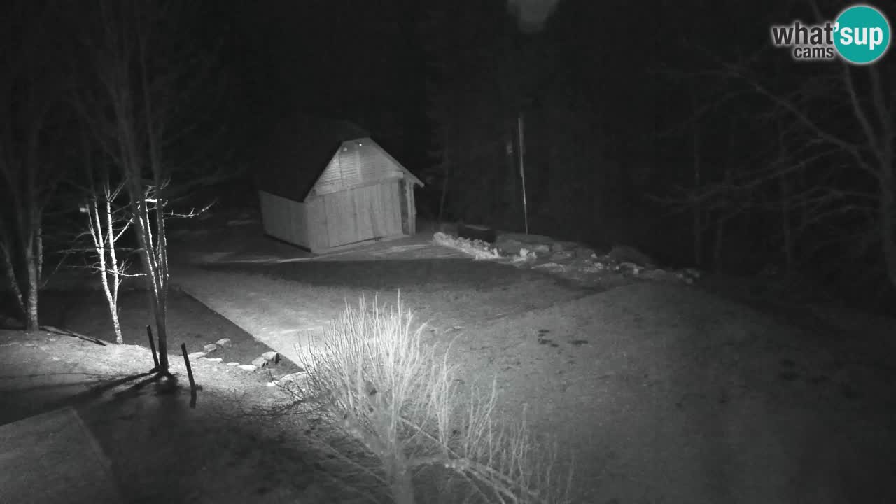 Web kamera Lukanja – Water Village | Pohorje Houses