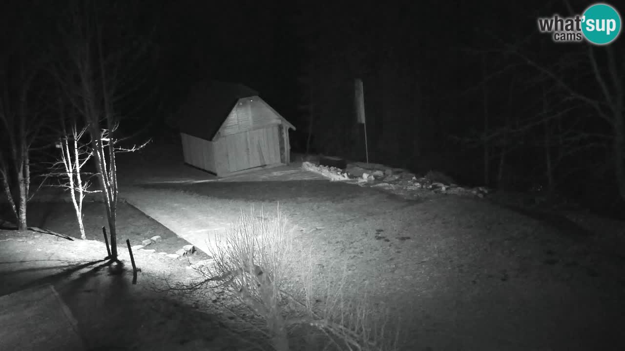 Spletna kamera Lukanja – Water Village | Pohorje Houses