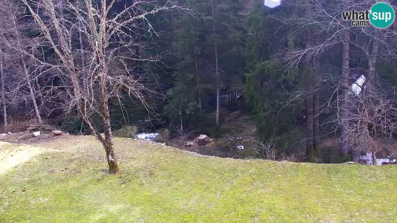 Webcam Lukanja – Water Village | Pohorje Houses