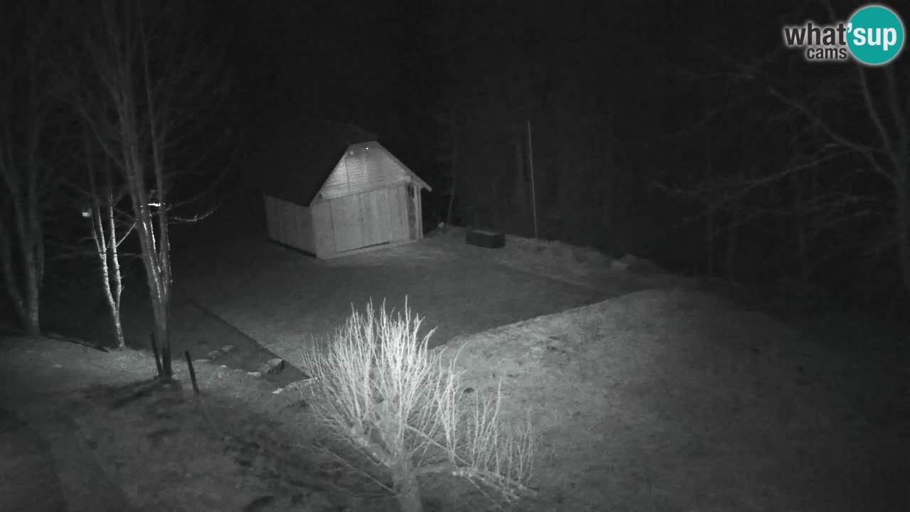 Webcam Lukanja – Pohorje houses a Water village