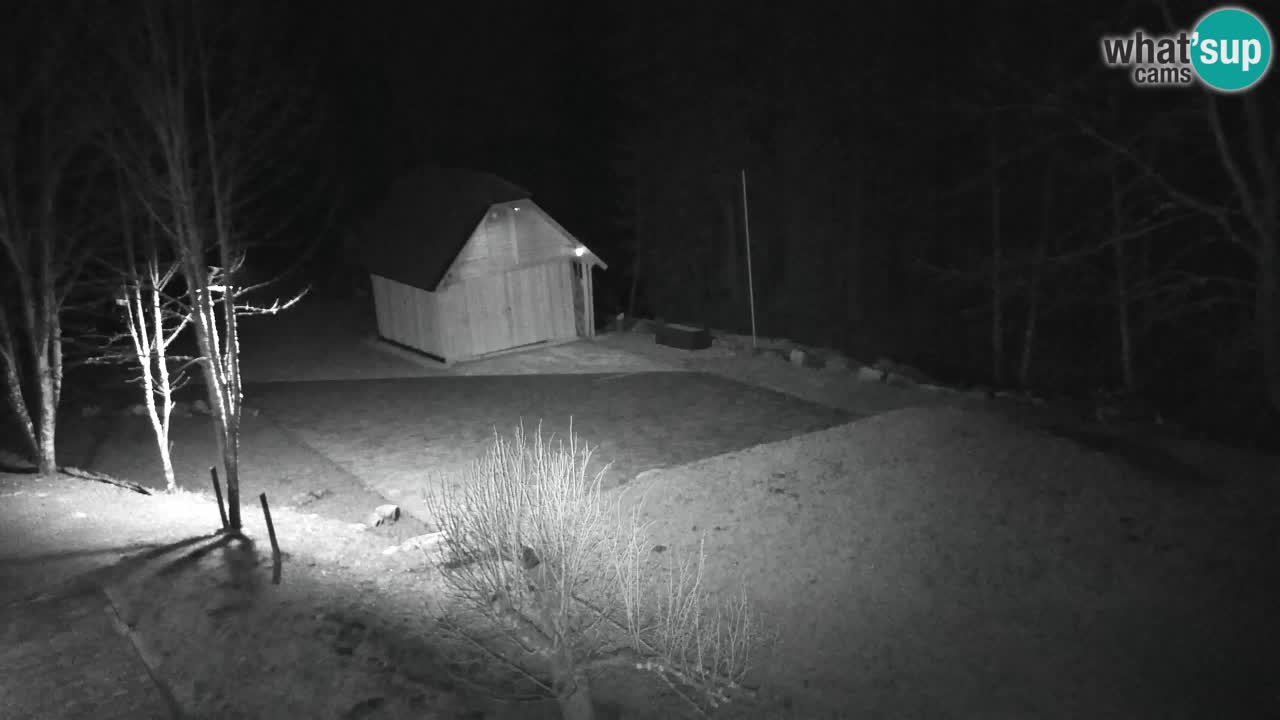 Webcam Lukanja – Water Village | Pohorje Houses