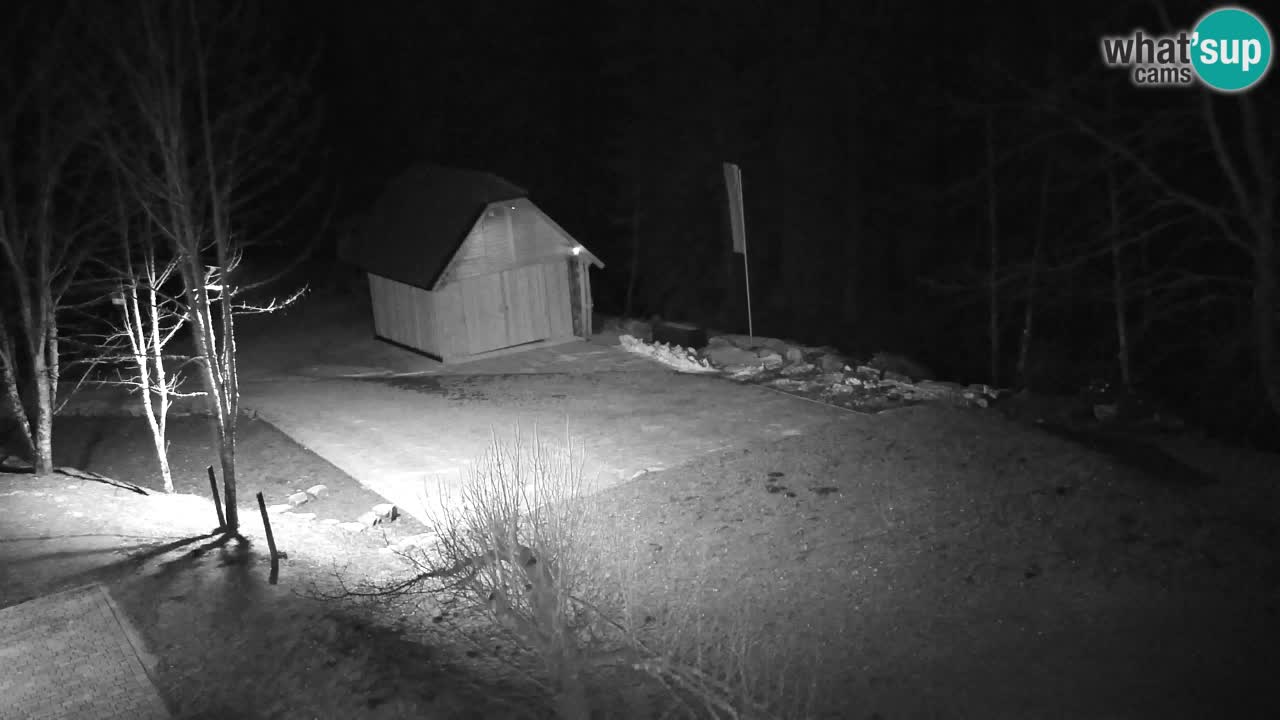 Webcam Lukanja – Water Village | Pohorje Houses