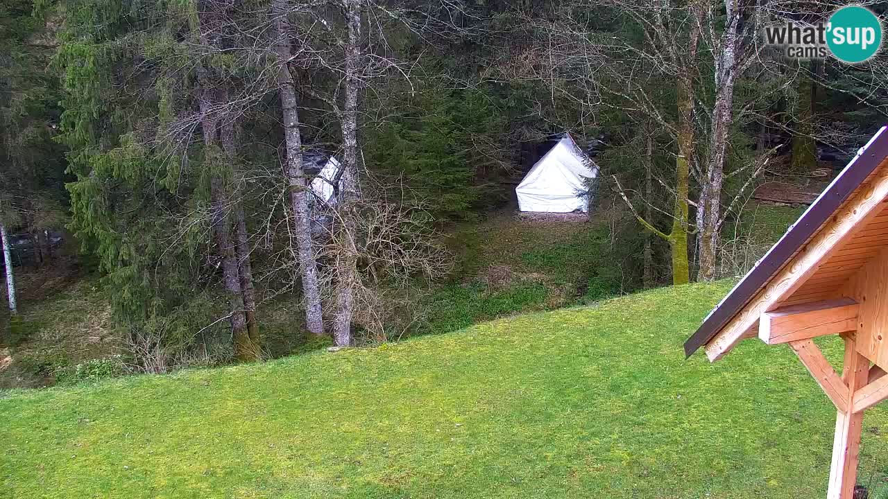 Spletna kamera Lukanja – Water Village | Pohorje Houses